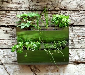 vertical garden